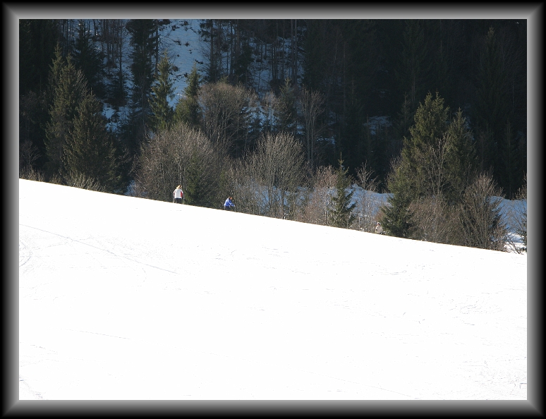 N&auml;chstes Bild