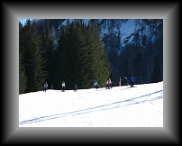 IMG_0612 * 3648 x 2736 * (3.77MB)