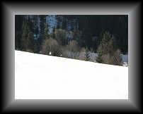 IMG_0625 * 3648 x 2736 * (2.87MB)