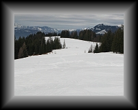 IMG_0653 * 3648 x 2736 * (3.2MB)