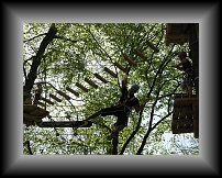 IMG_0816 * 3648 x 2736 * (7.47MB)