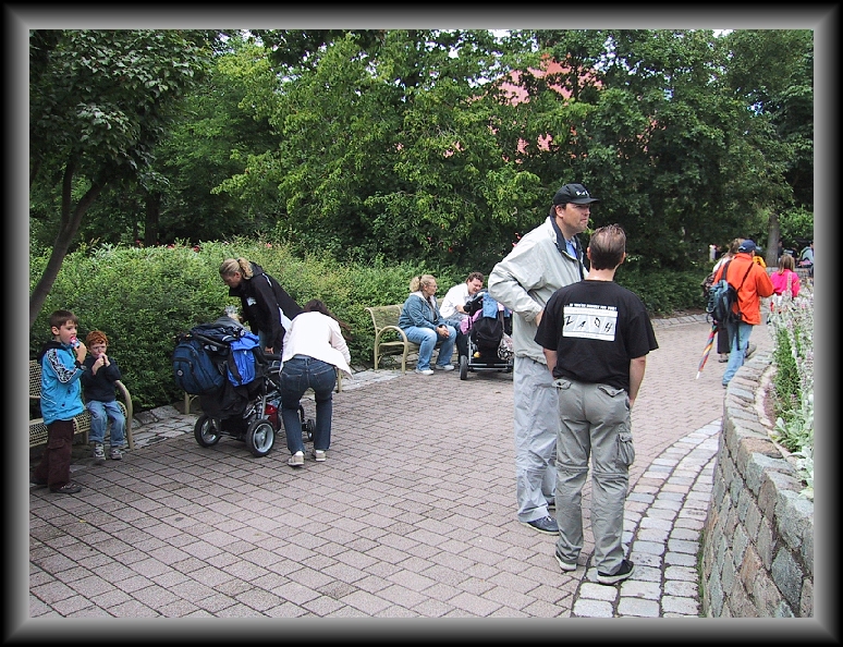 N&auml;chstes Bild