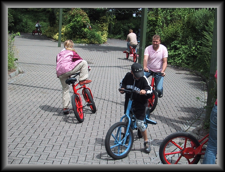 N&auml;chstes Bild