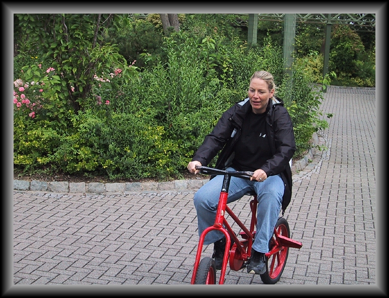 N&auml;chstes Bild