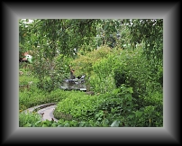 IMG_0049 * 1600 x 1200 * (957KB)