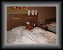 IMG_0211 * 3648 x 2736 * (1.76MB)