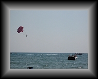 IMG_0248 * 3648 x 2736 * (1.9MB)