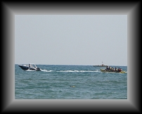 IMG_0255 * 3648 x 2736 * (1.25MB)
