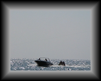 IMG_0258 * 3648 x 2736 * (1.34MB)