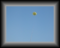 IMG_0294 * 3648 x 2736 * (1.6MB)