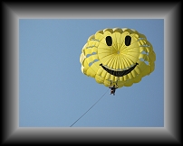 IMG_0298 * 3648 x 2736 * (1.8MB)