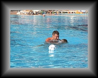 IMG_0192 * 3648 x 2736 * (4.7MB)