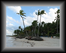 IMG_0769 * 3648 x 2736 * (3.92MB)