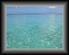 IMG_0808 * 3648 x 2736 * (3.52MB)