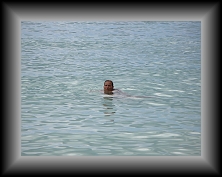 IMG_0839 * 3648 x 2736 * (3.89MB)