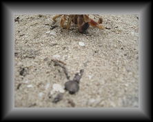 IMG_0858 * 3648 x 2736 * (3.25MB)