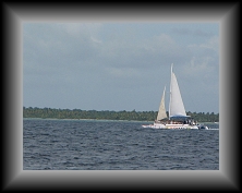 IMG_0873 * 3648 x 2736 * (2.05MB)