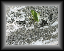 IMG_0880 * 3648 x 2736 * (5.75MB)