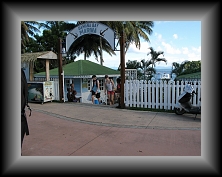IMG_0983 * 3648 x 2736 * (4.47MB)