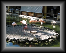 IMG_1013 * 3648 x 2736 * (5.16MB)