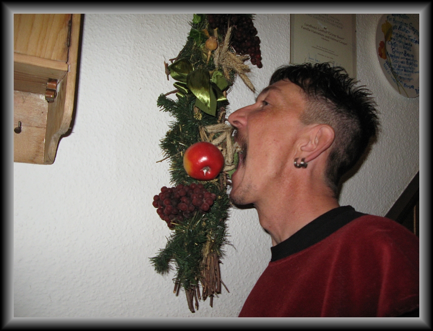 N&auml;chstes Bild